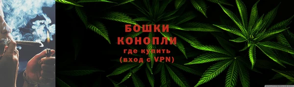 сатива Белоозёрский