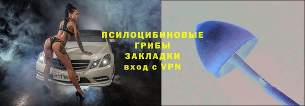 сатива Белоозёрский